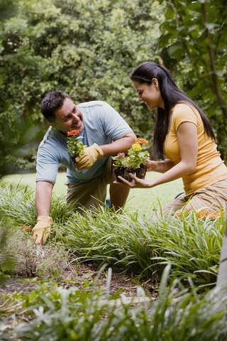 Couple gardening