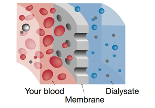 Semi-Permeable Membrane